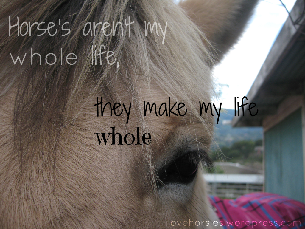 About - Mane - HD Wallpaper 