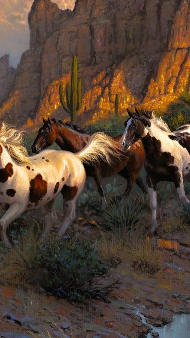 Cowboy Wallpapers For Iphone - HD Wallpaper 