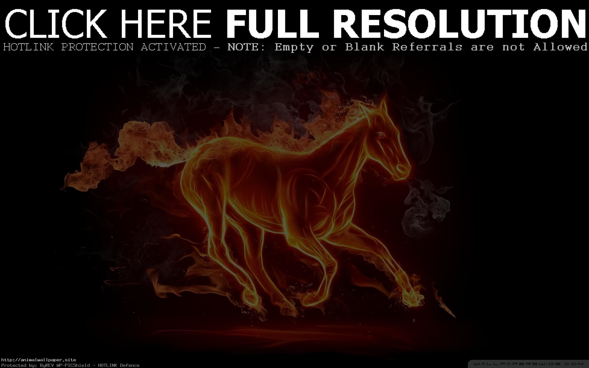 Coolest Fire Horse Wallpaper 
 Data-src /w/full/0/4/c/449161 - Fire Horse - HD Wallpaper 