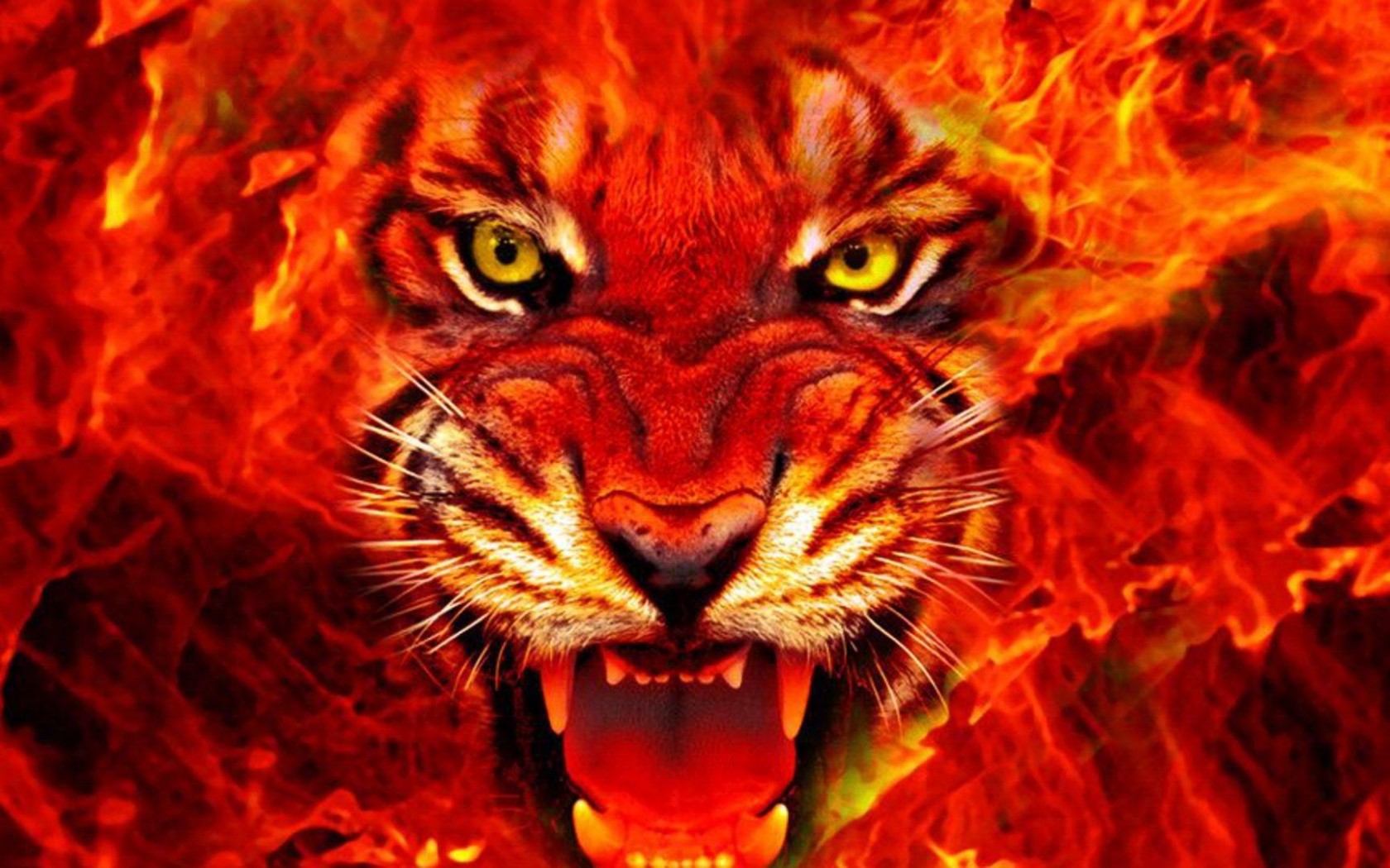 Red Tiger Wallpaper Hd - HD Wallpaper 