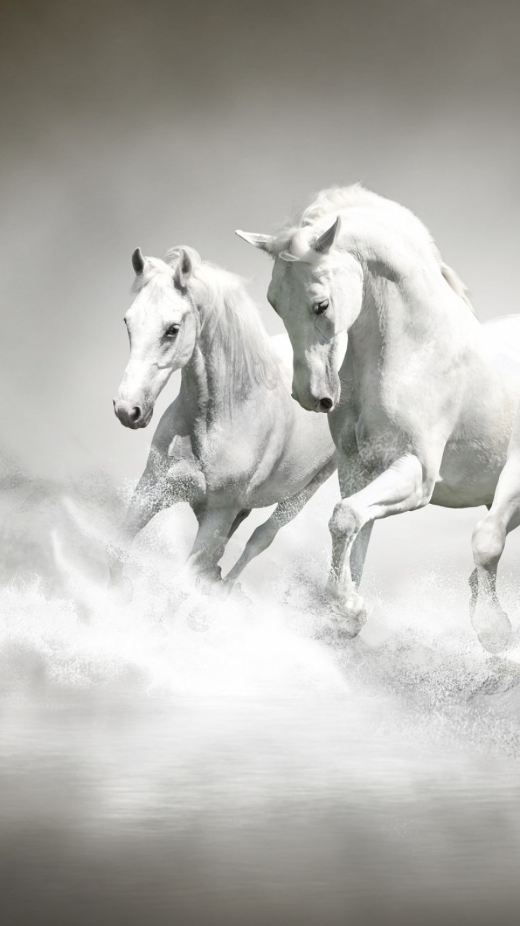 White Horses, Majestic, Running, Water Splash, Beach - Horse Running Wallpaper Iphone - 750x1334 Wallpaper White Horses, Majestic, Running, Water Splash, Beach - Horse Running Wallpaper Iphone - 750x1334 Wallpaper