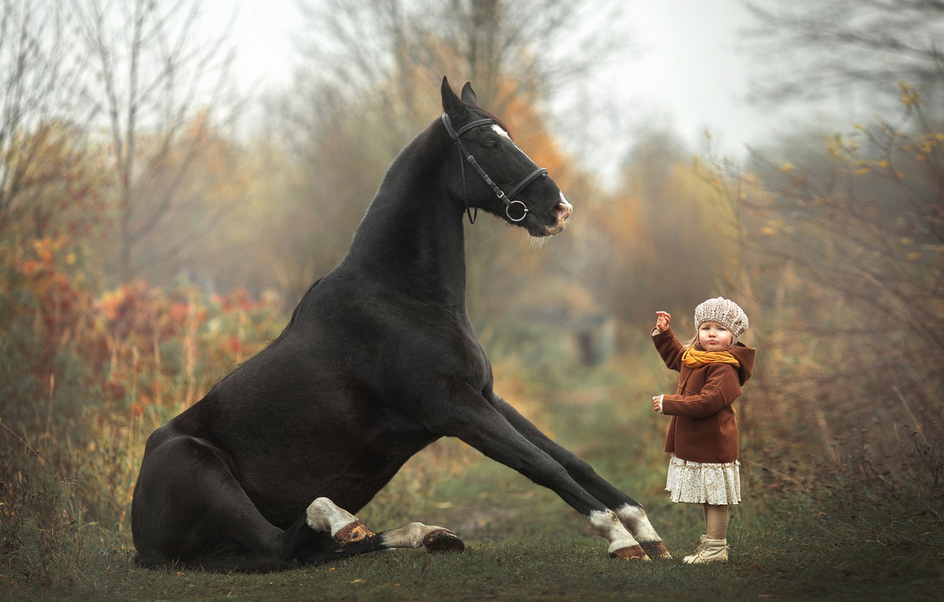 Photo Wallpaper Horse, Girl, Baby, Taming - Girl Taming Horse - HD Wallpaper 