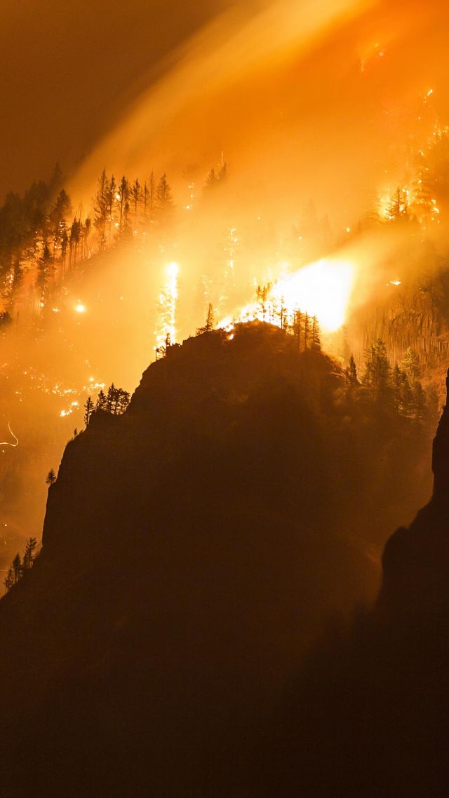 Columbia Gorge, Forest, Fire, 4k - Forest Fire Wallpaper Hd - HD Wallpaper 