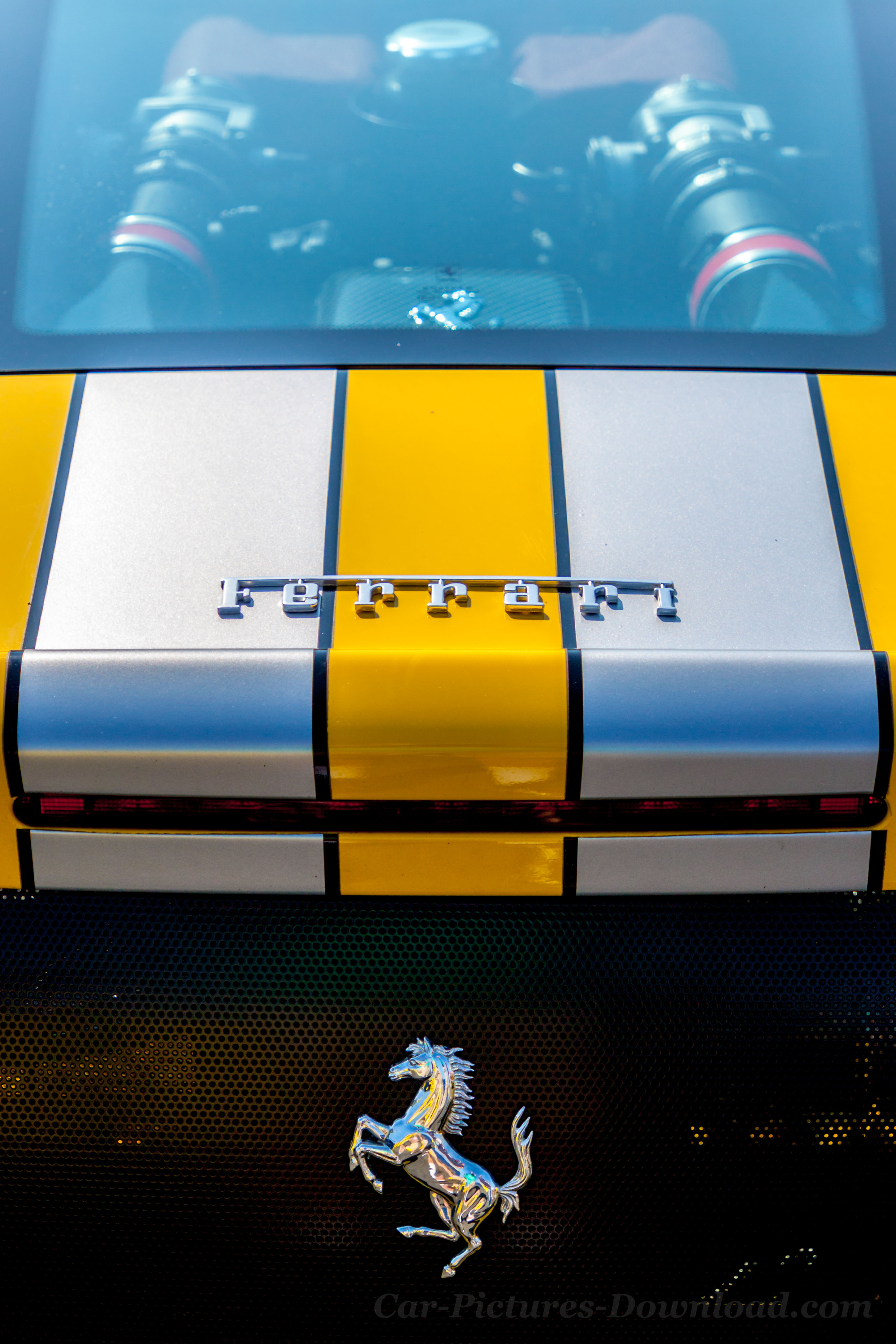 Horse Wallpaper Iphone - HD Wallpaper 