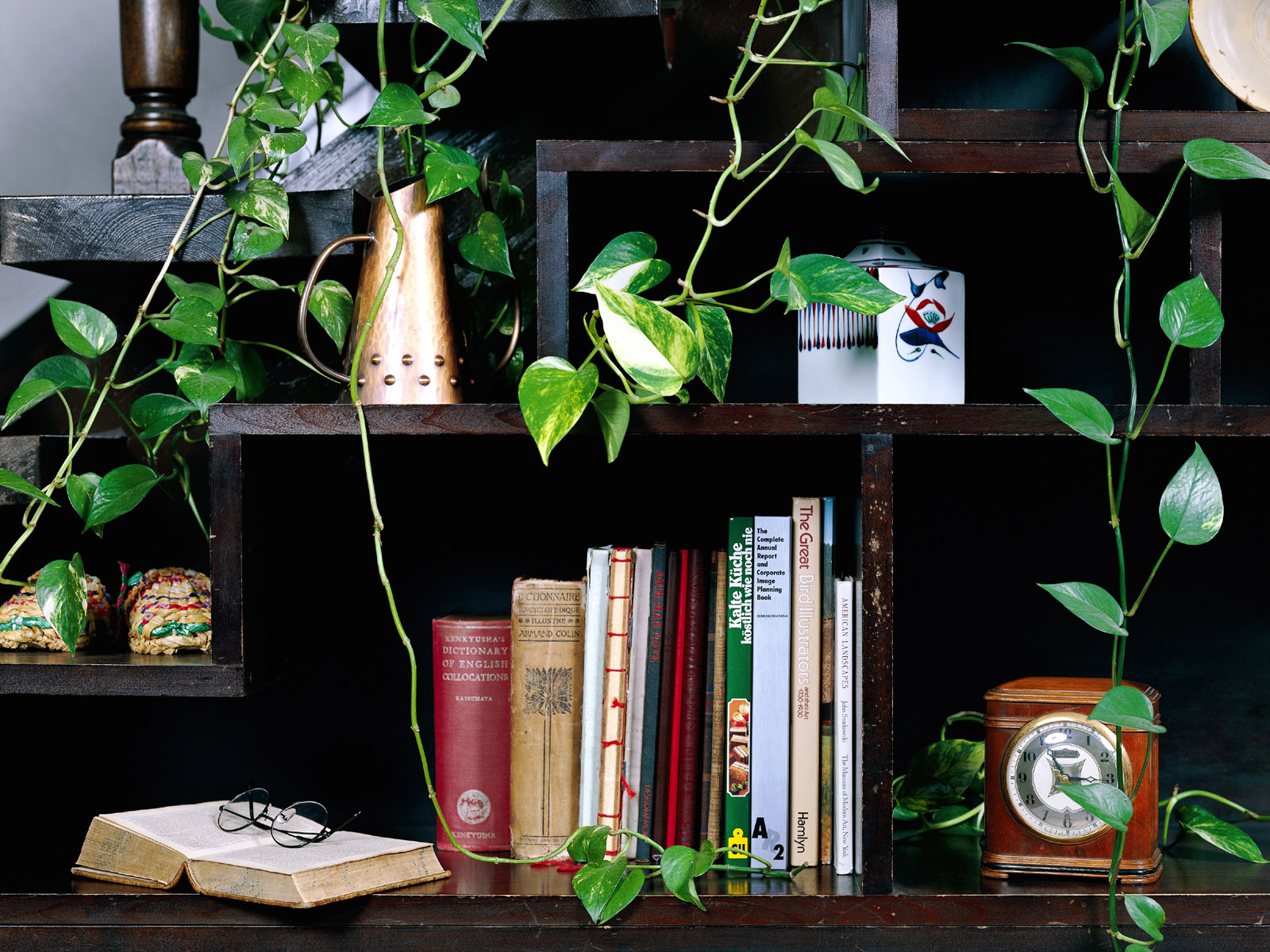 Bookcase Plants Sweet Home - Interior Design - HD Wallpaper 