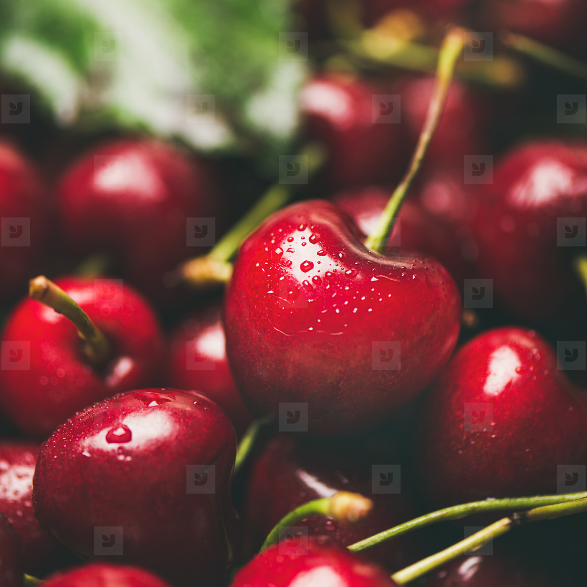 Sweet Cherry - HD Wallpaper 