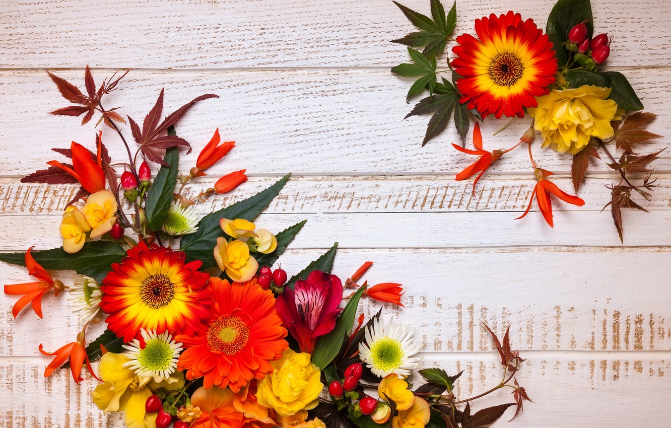 Photo Wallpaper Autumn, Leaves, Flowers, Wood, Flowers, - Autumn Leaves And Flowers - HD Wallpaper 