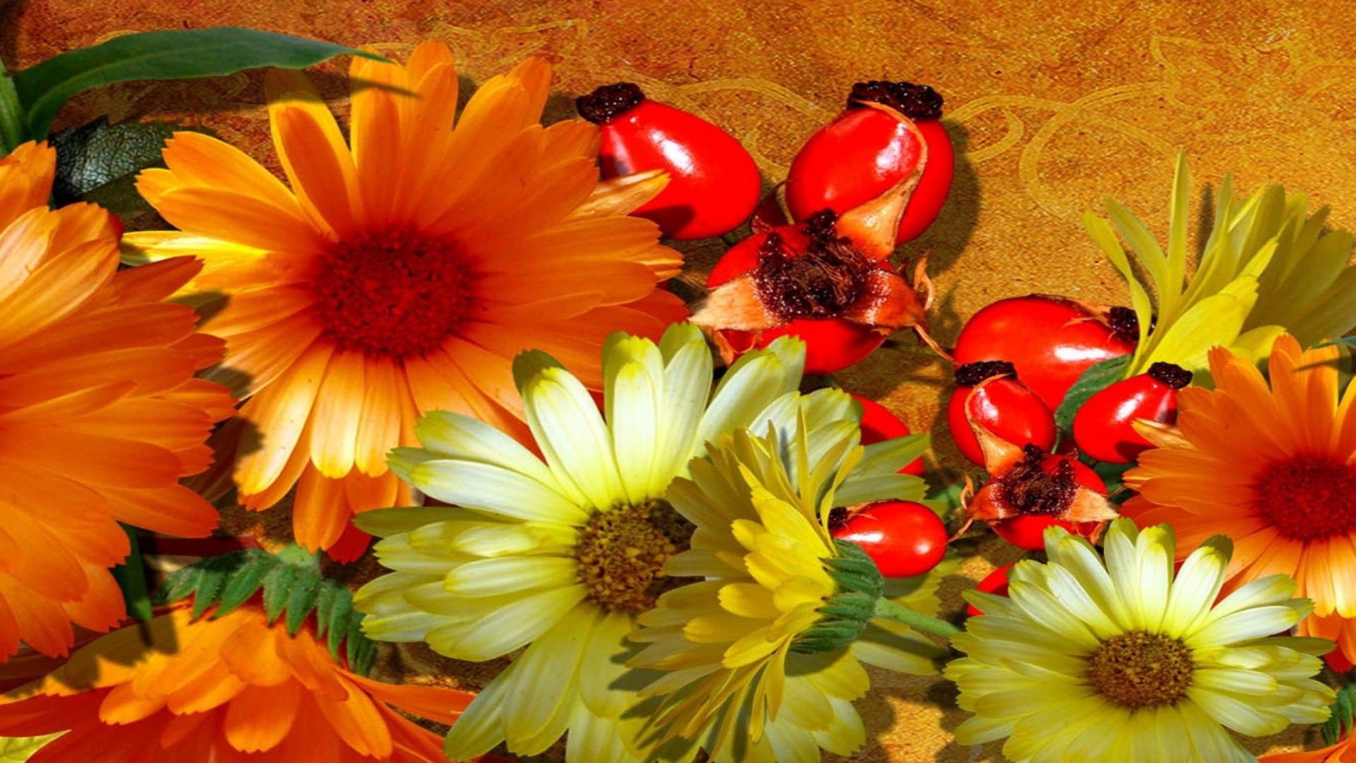 Lovely Flowers - HD Wallpaper 