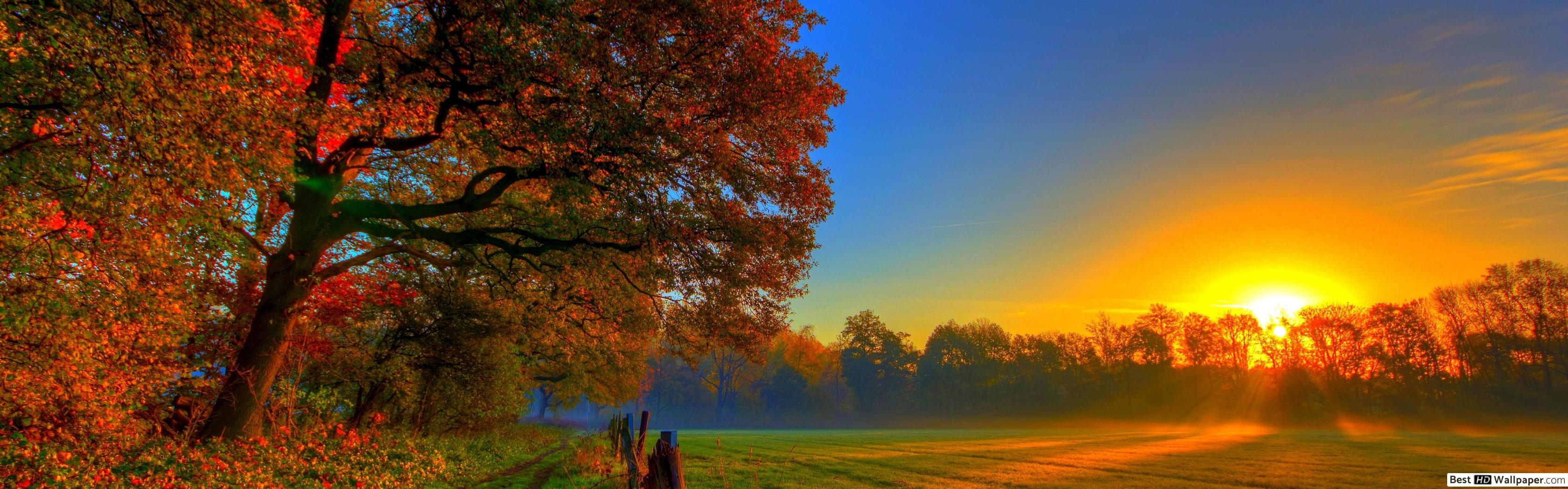 Autumn Sunset Wallpaper Widescreen - HD Wallpaper 