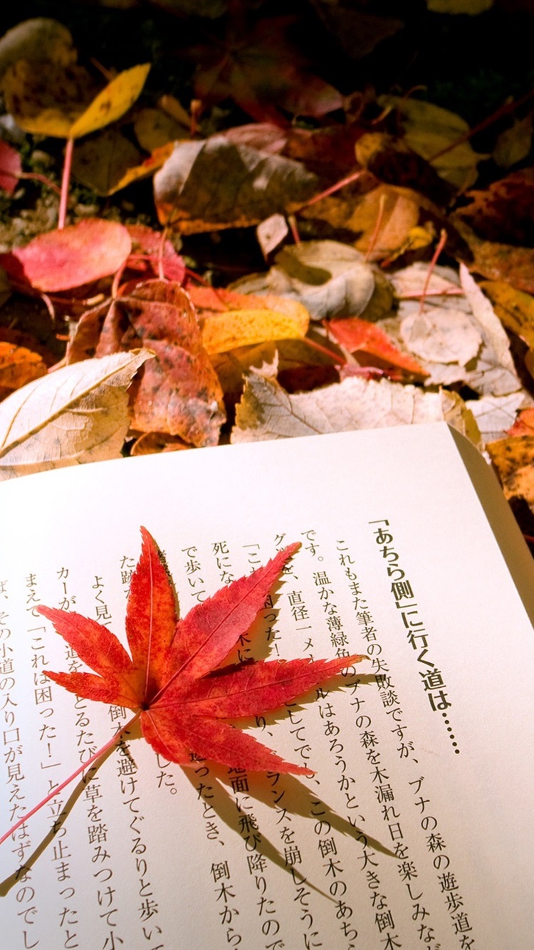 Iphone Wallpaper Autumn Leaves Japanese Book - Japan Autumn Wallpaper Iphone - HD Wallpaper 