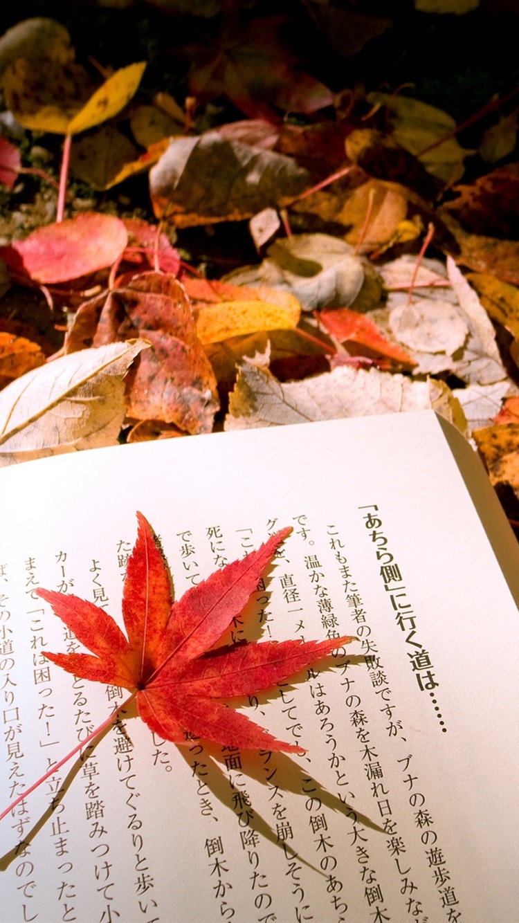Iphone Wallpaper Autumn Leaves Japanese Book - Japan Autumn Wallpaper Iphone - HD Wallpaper 