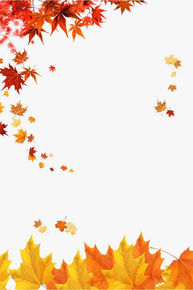 Maple Leaves - Transparent Background Fall Leaves Png - HD Wallpaper 