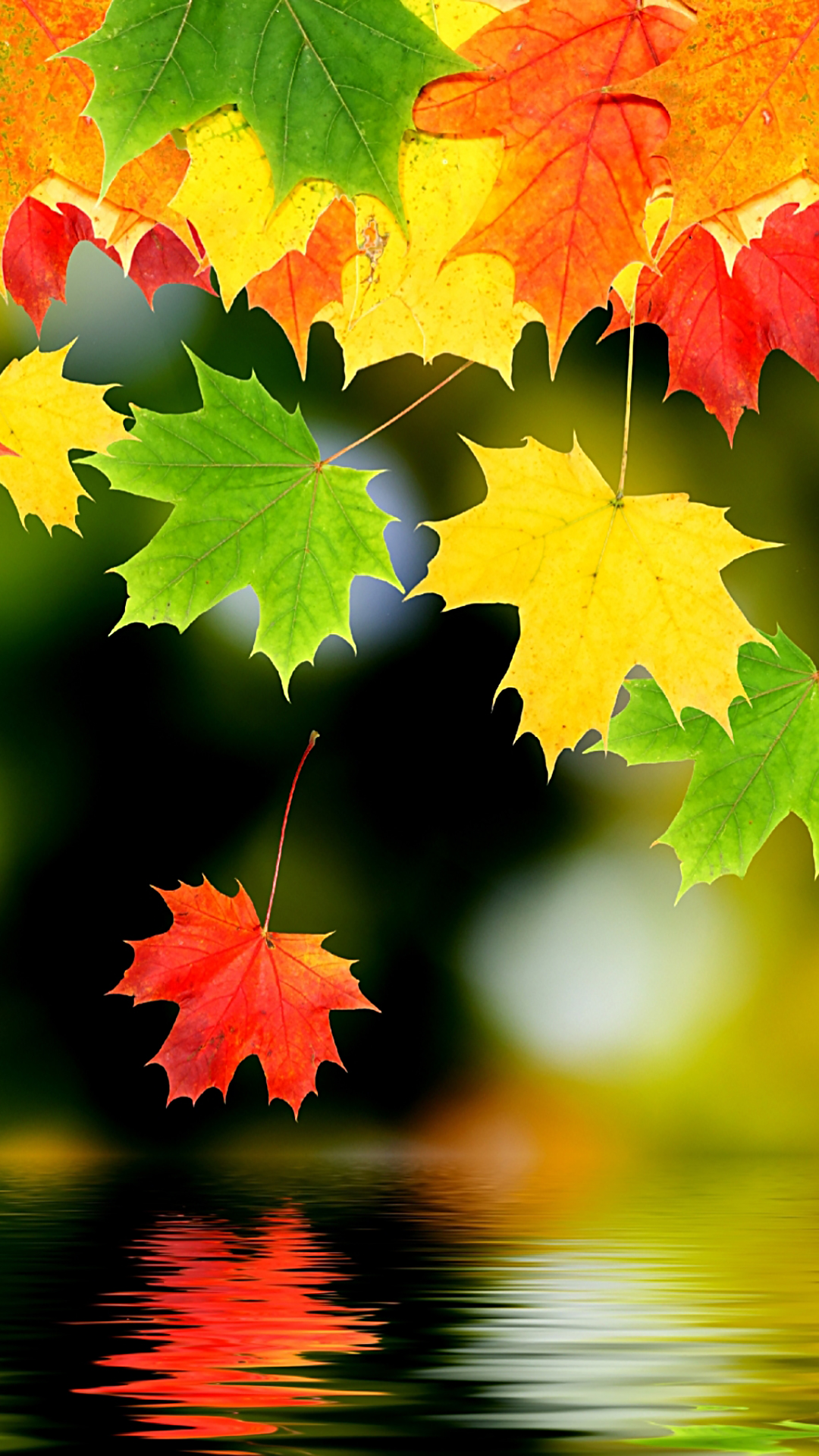 Autumn Leaf Wallpaper - Autumn Leaves Wallpaper Iphone6 - HD Wallpaper 