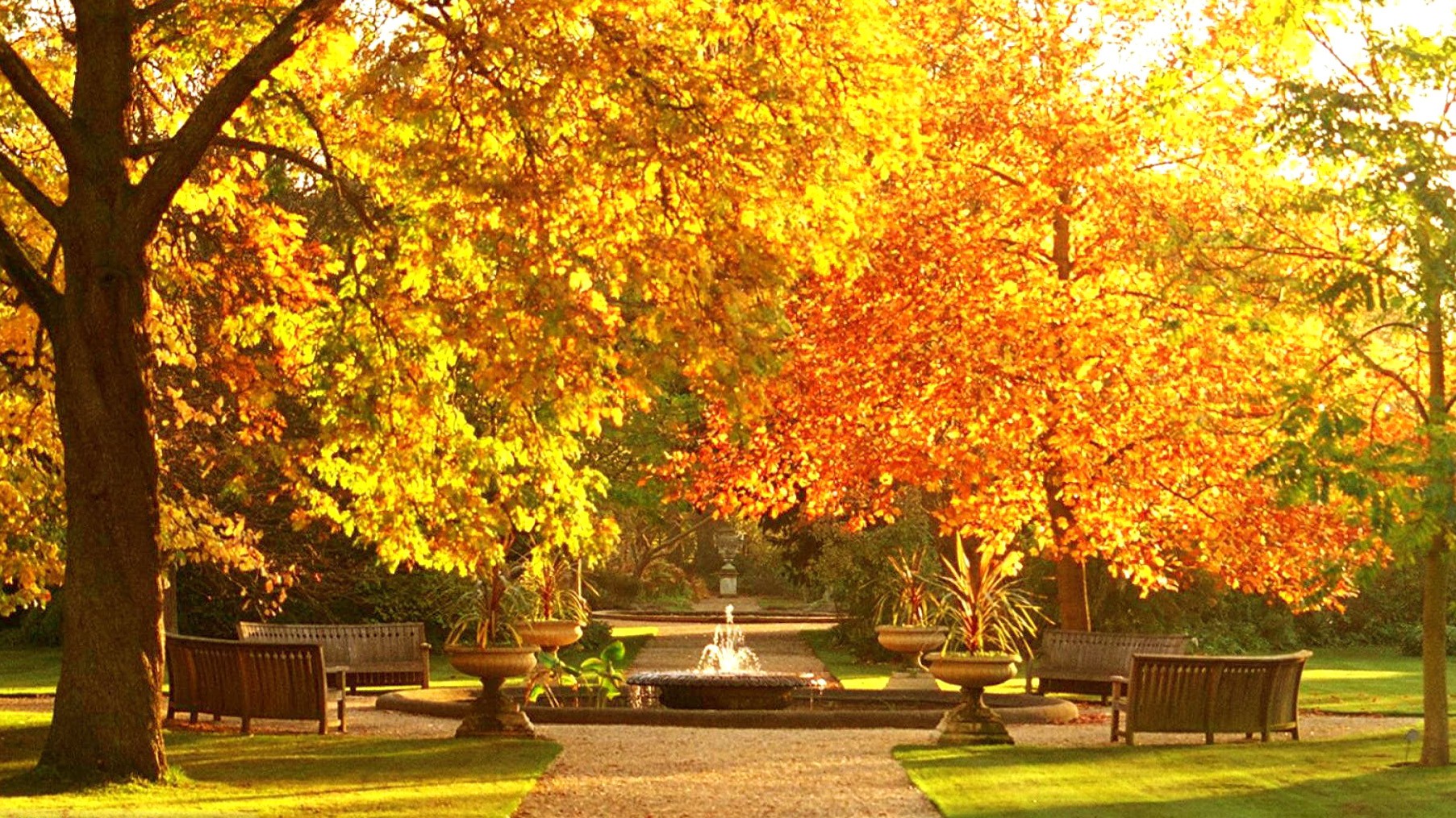 Beautiful Garden Autumn - HD Wallpaper 