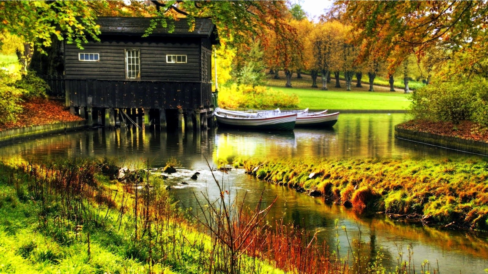 Herbst desktop hintergrundbilder kostenlos Baum Hintergrundbilder