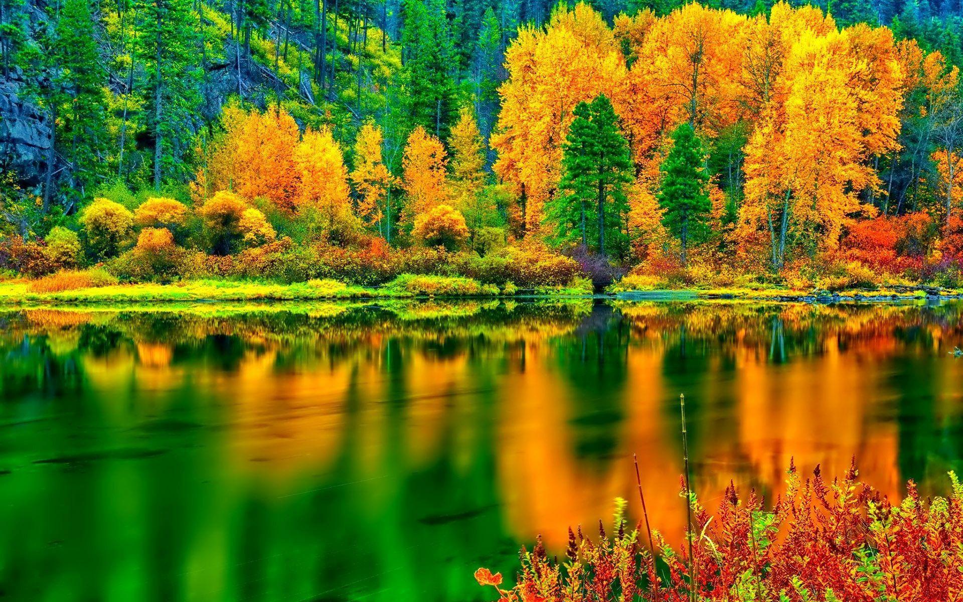 Hd Breathtaking Autumn Colors Wallpaper - Orange And Green In Nature - HD Wallpaper 