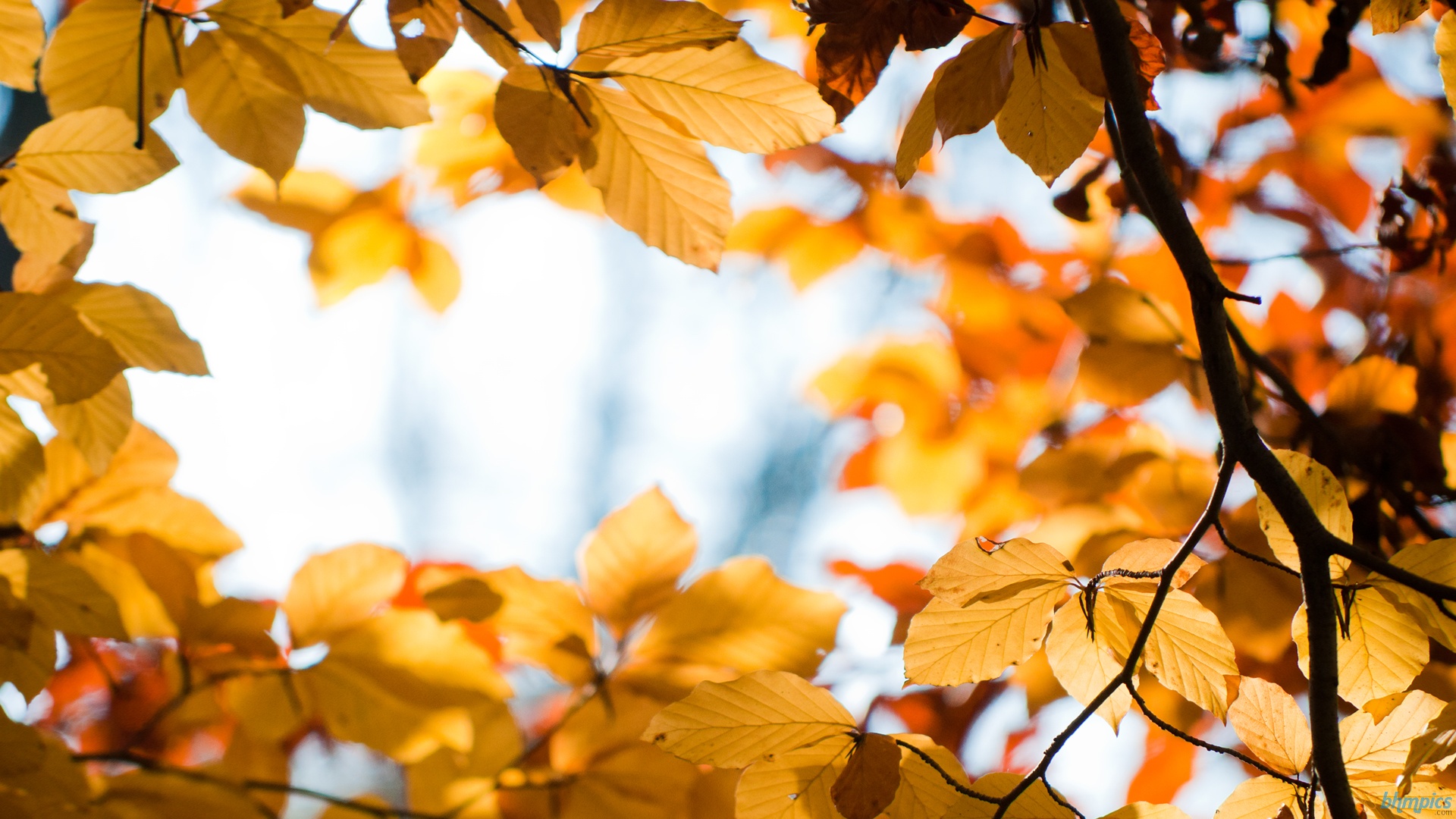 Cover Photo For Facebook Of Allah - HD Wallpaper 