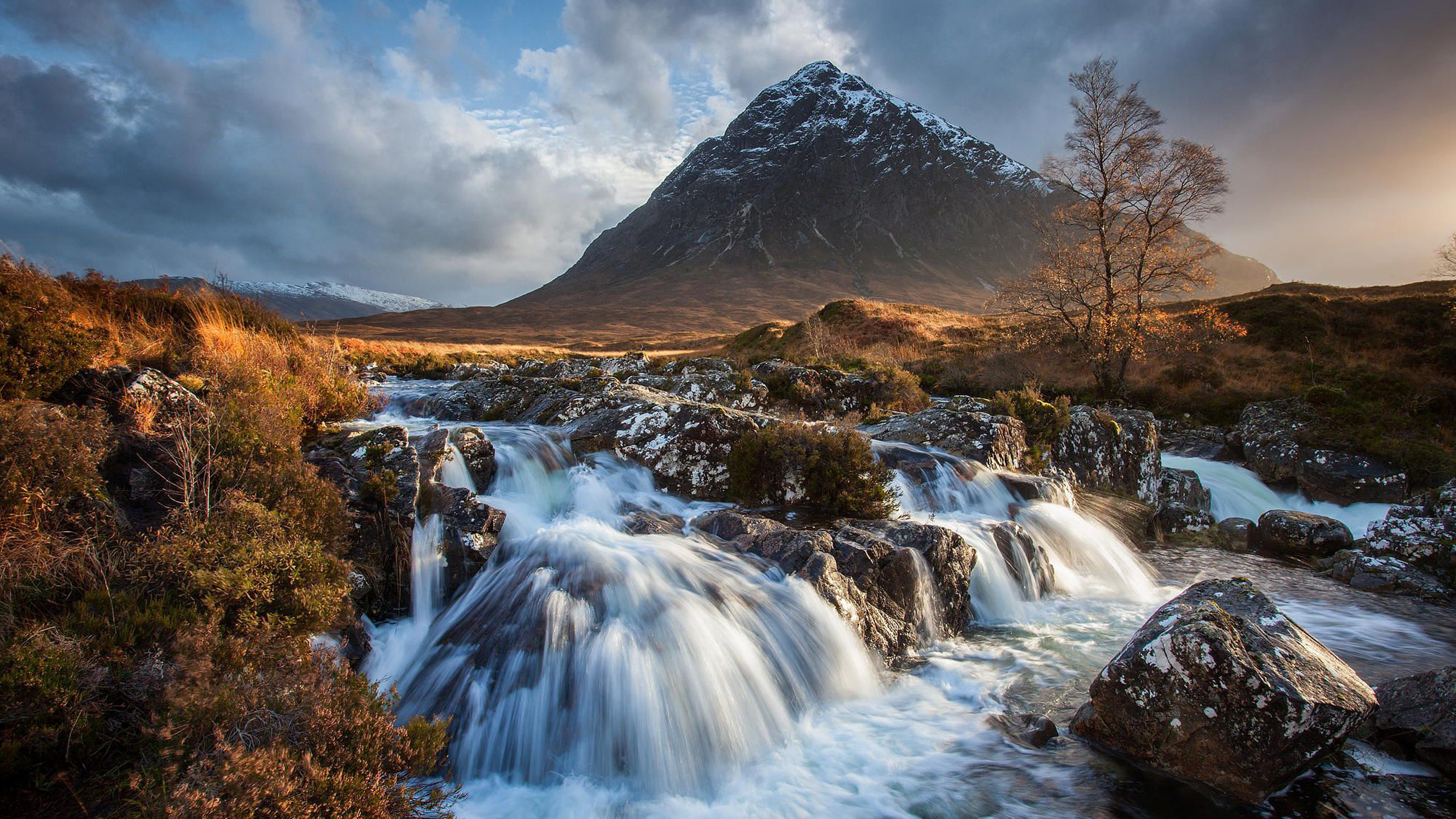 Wallpaper - HD Wallpaper 