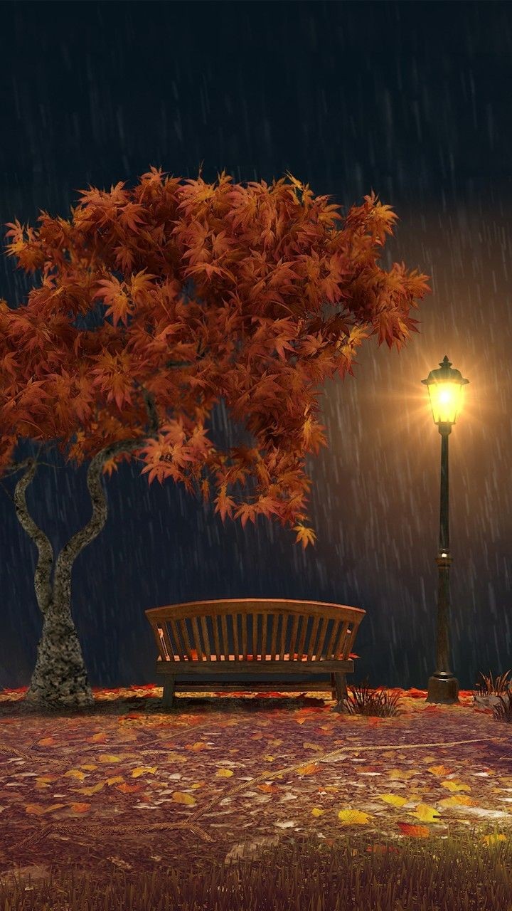 Wallpaper Herbst - Maple Leaf - HD Wallpaper 