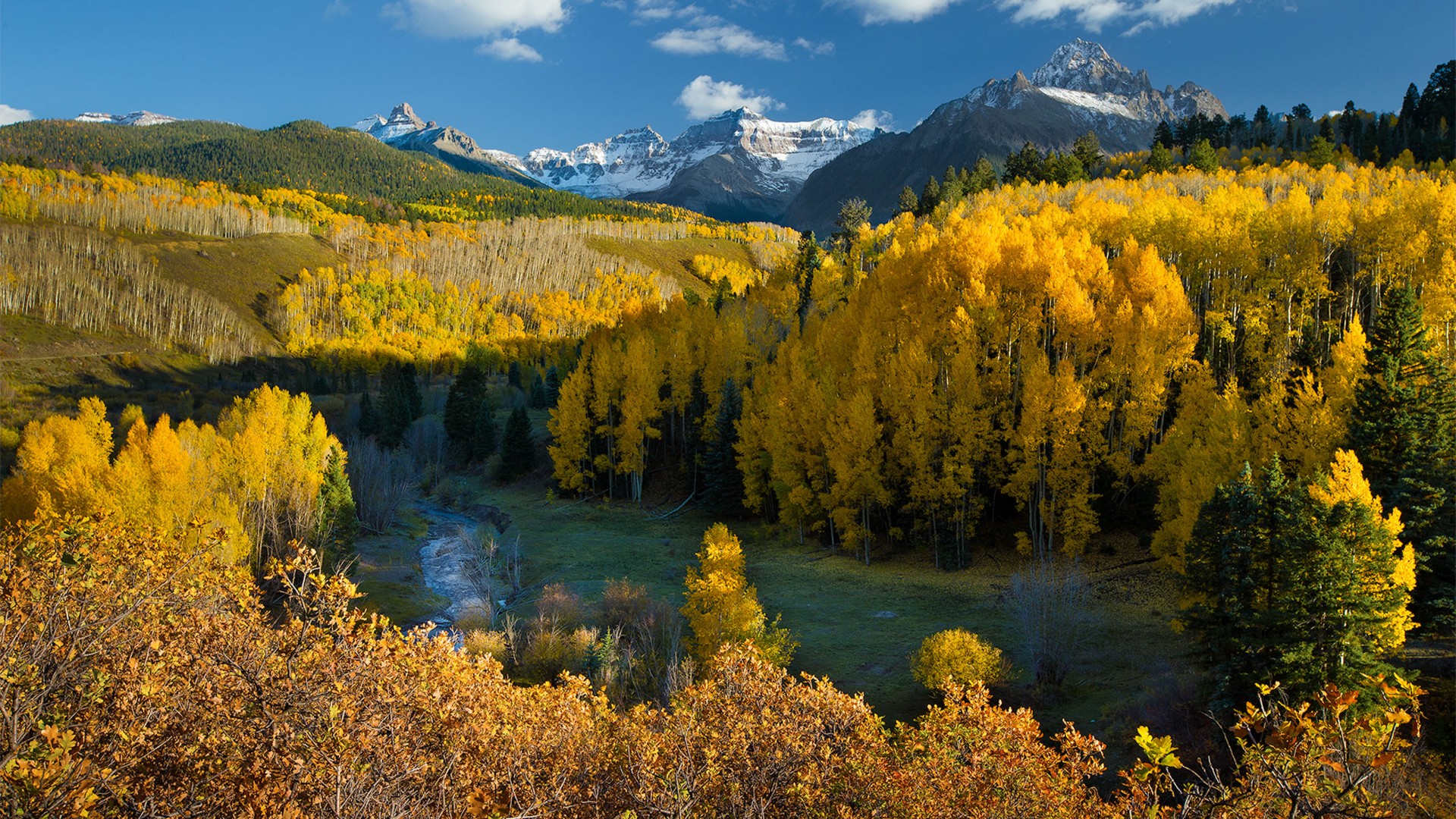 Autumn Wallpaper Hd 1920x1080 - HD Wallpaper 