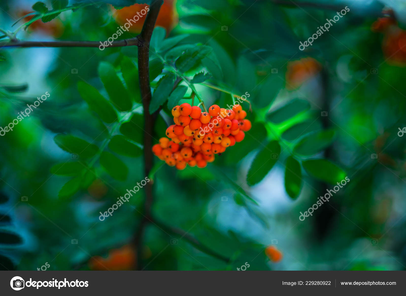 Stock Photography - HD Wallpaper 