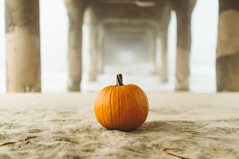 Hd Halloween Wallpapers 1080p - HD Wallpaper 