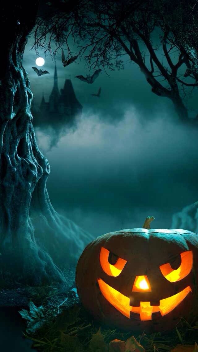 Forest Halloween Background - HD Wallpaper 