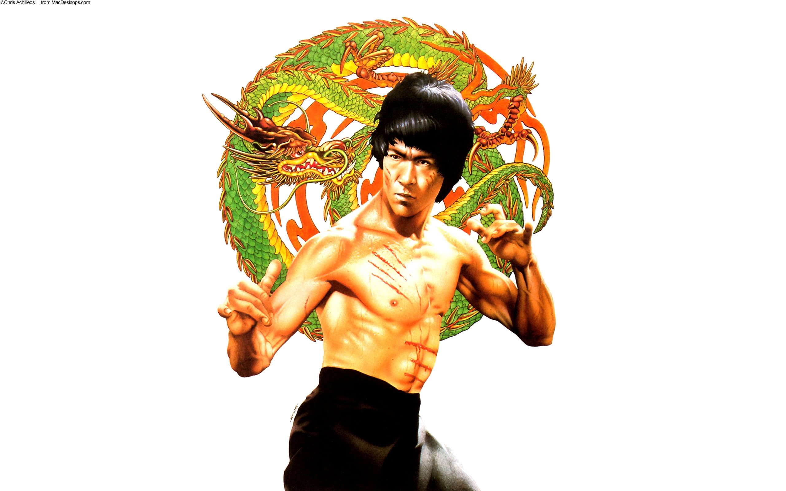 Bruce Lee And Dragon - HD Wallpaper 