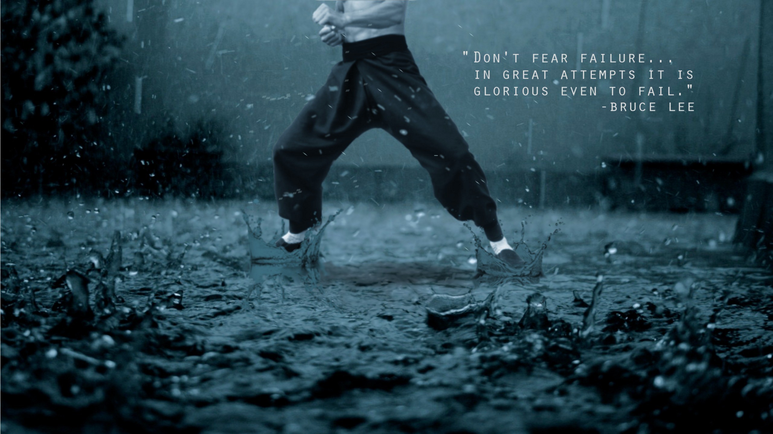 Wallpaper 
 Data Src Wallpaper Martial Arts For Ios - Bruce Lee - HD Wallpaper 