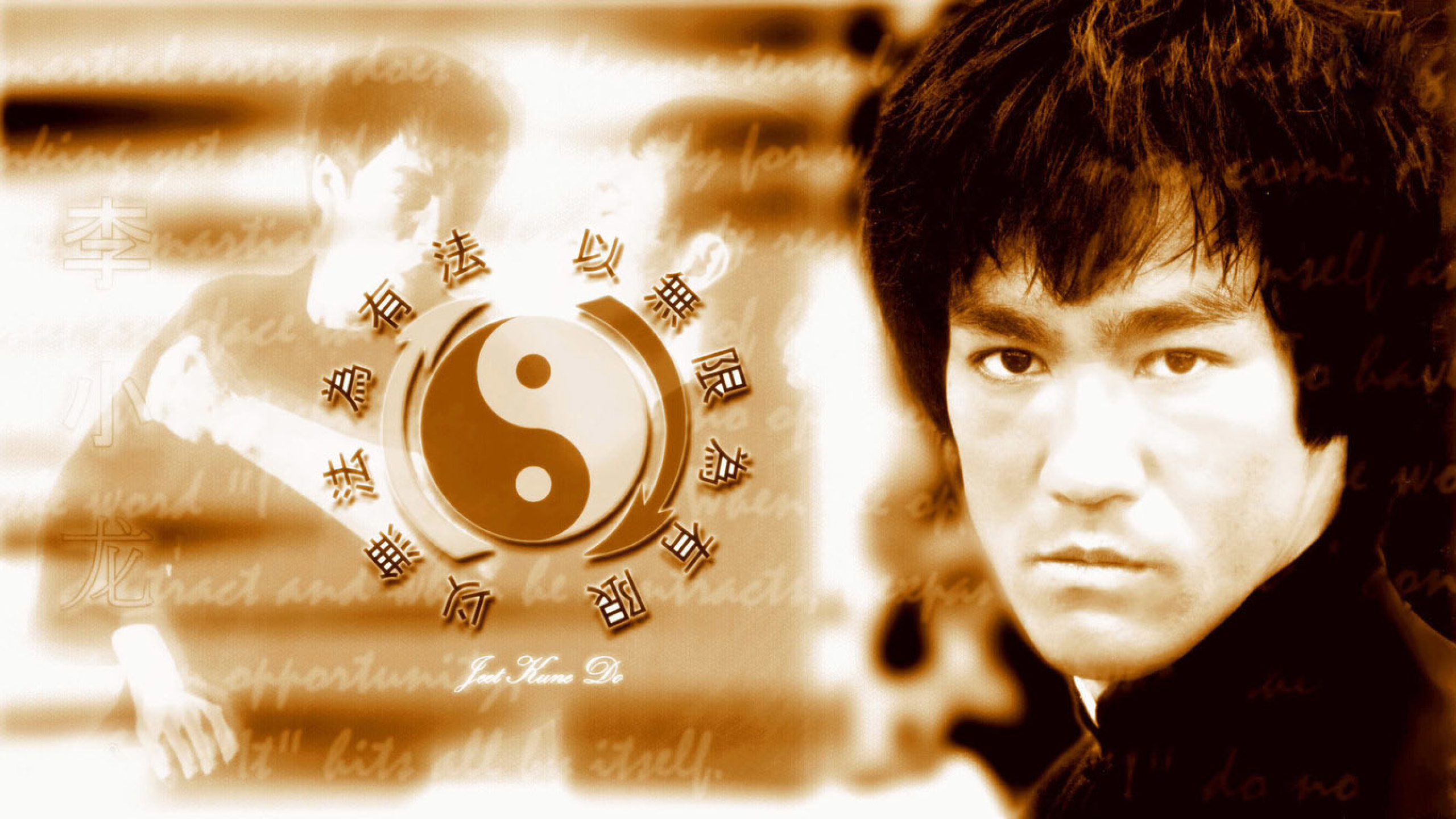 Dragon Wallpaper Bruce Lee 2560x1440 Wallpaper Teahub Io