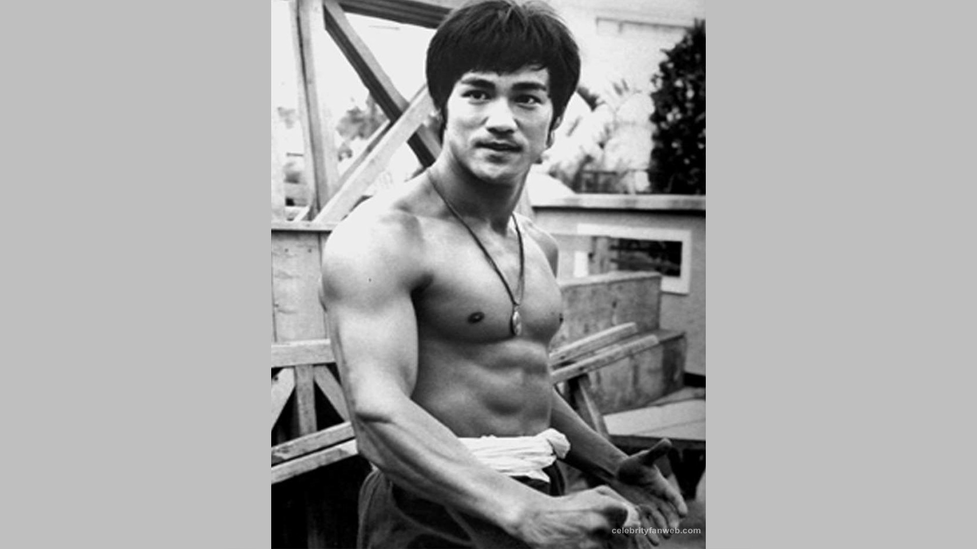 龙 达 罗 西 - HD Wallpaper 