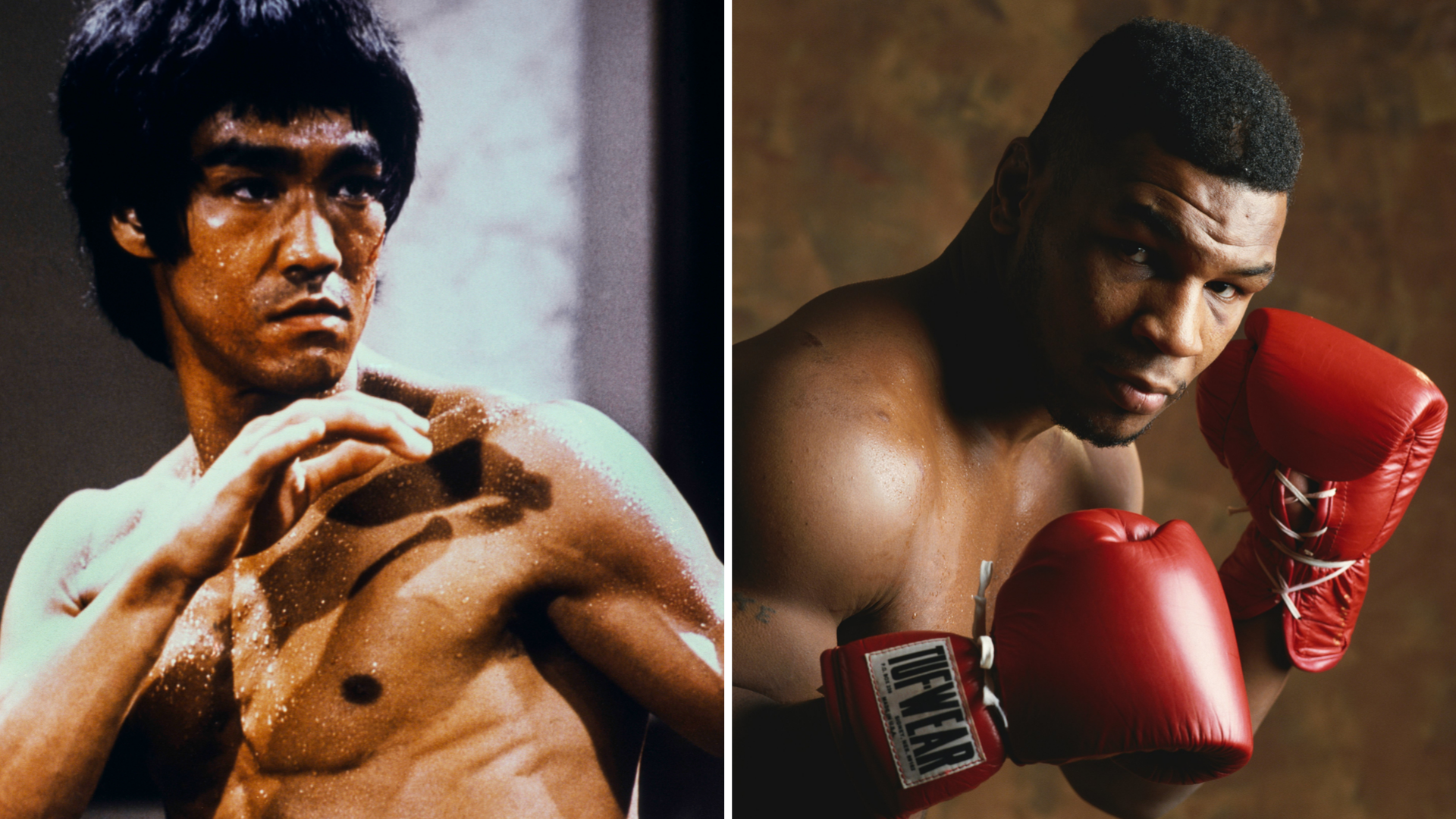 Mike Tyson Vs Bruce Lee - HD Wallpaper 