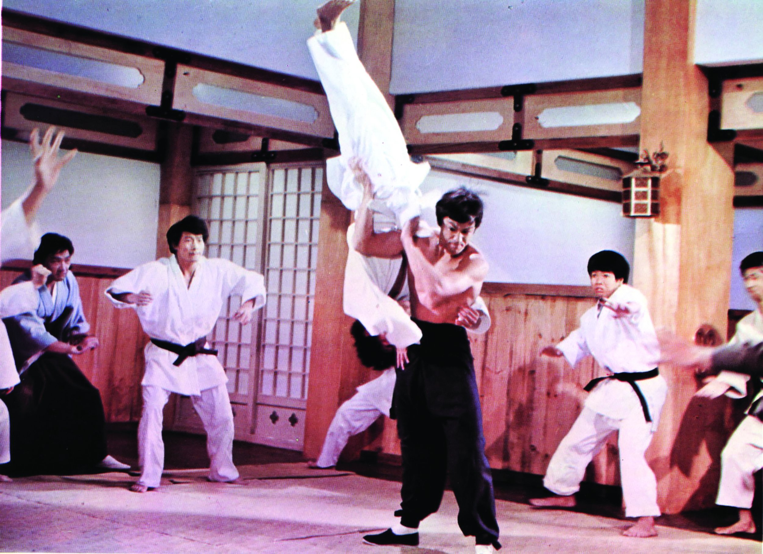 Htra146 Vv237 H - Bruce Lee Judo Throws - HD Wallpaper 