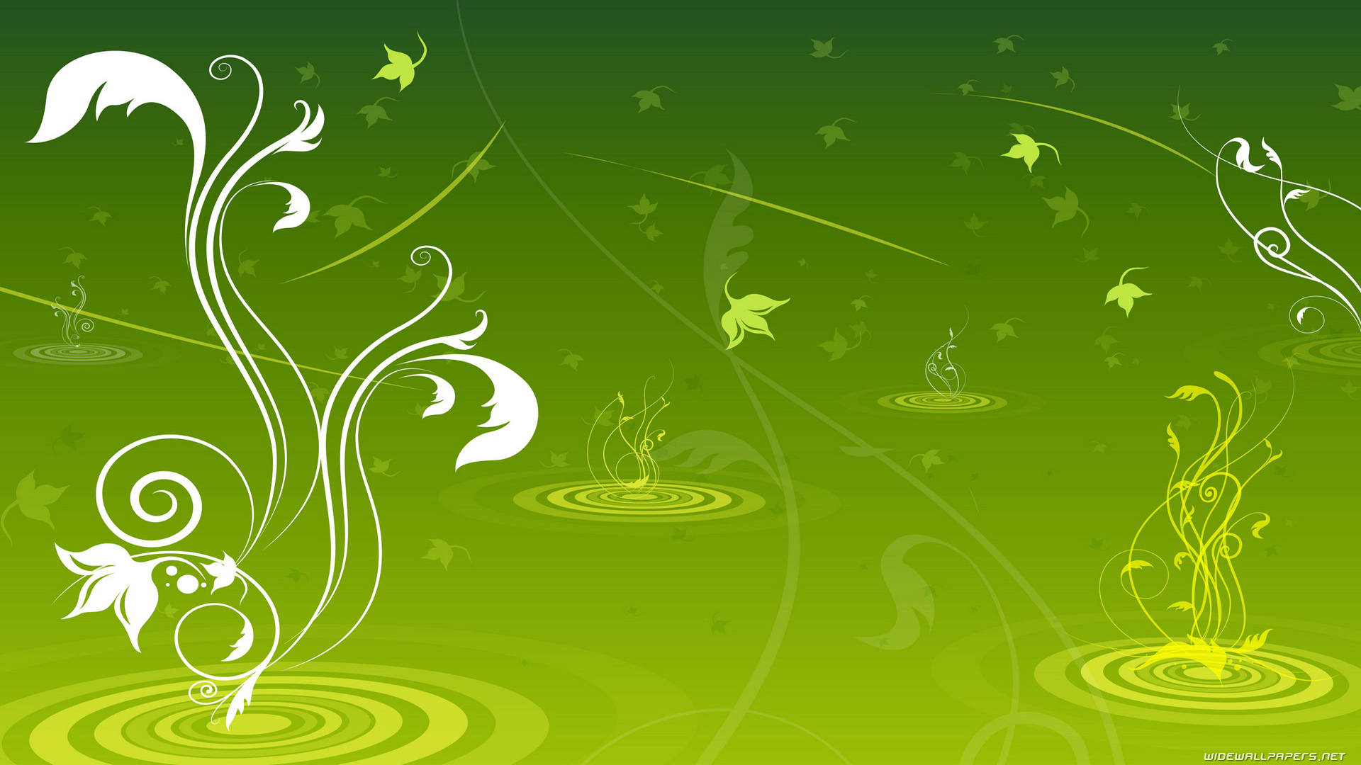 Fundo Verde Com Flores Brancas - HD Wallpaper 