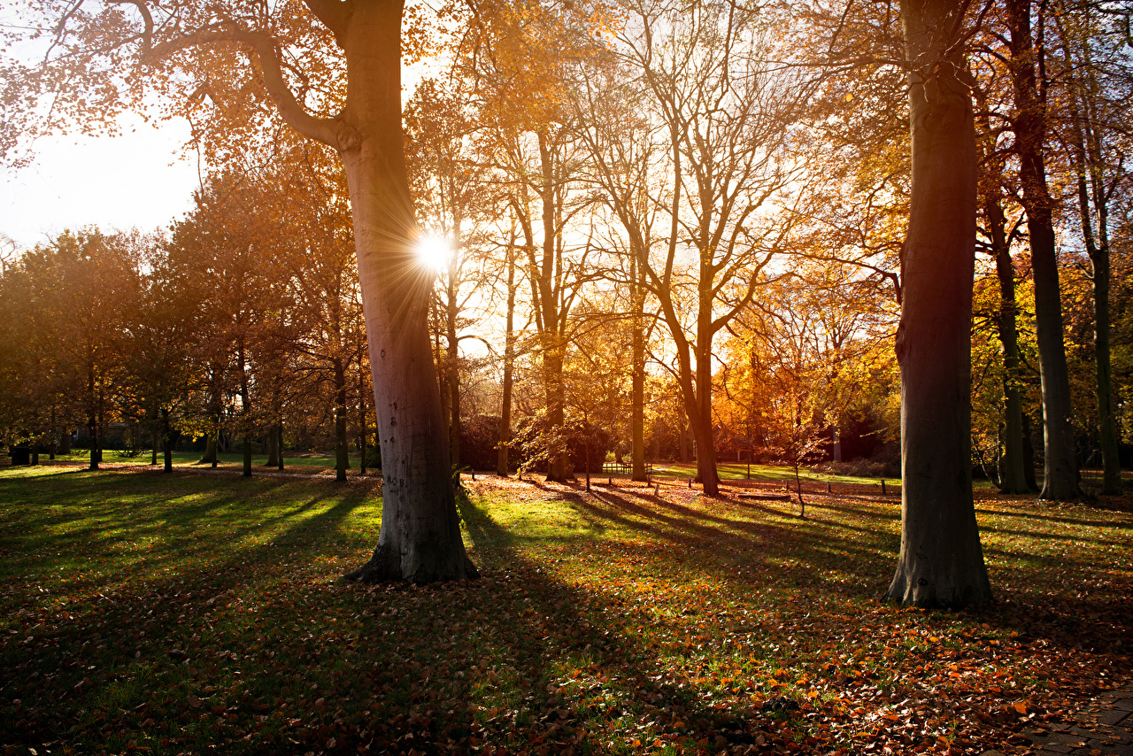 Full Hd Nature Autumn - HD Wallpaper 