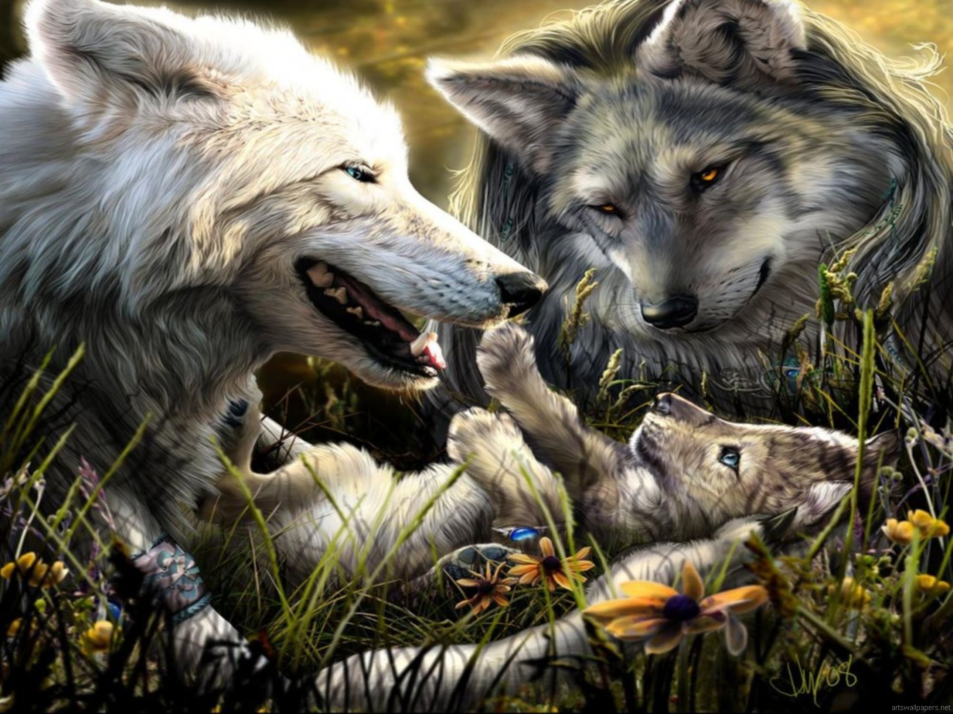 Wolf Pups With Dad - 1920x1440 Wallpaper - teahub.io
