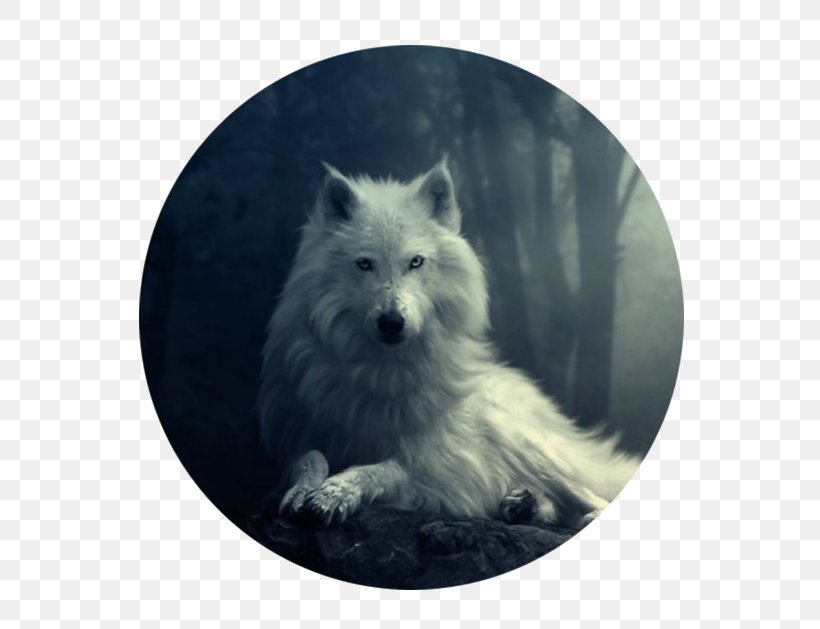 Desktop Wallpaper 4k Resolution Black Wolf High-definition - HD Wallpaper 