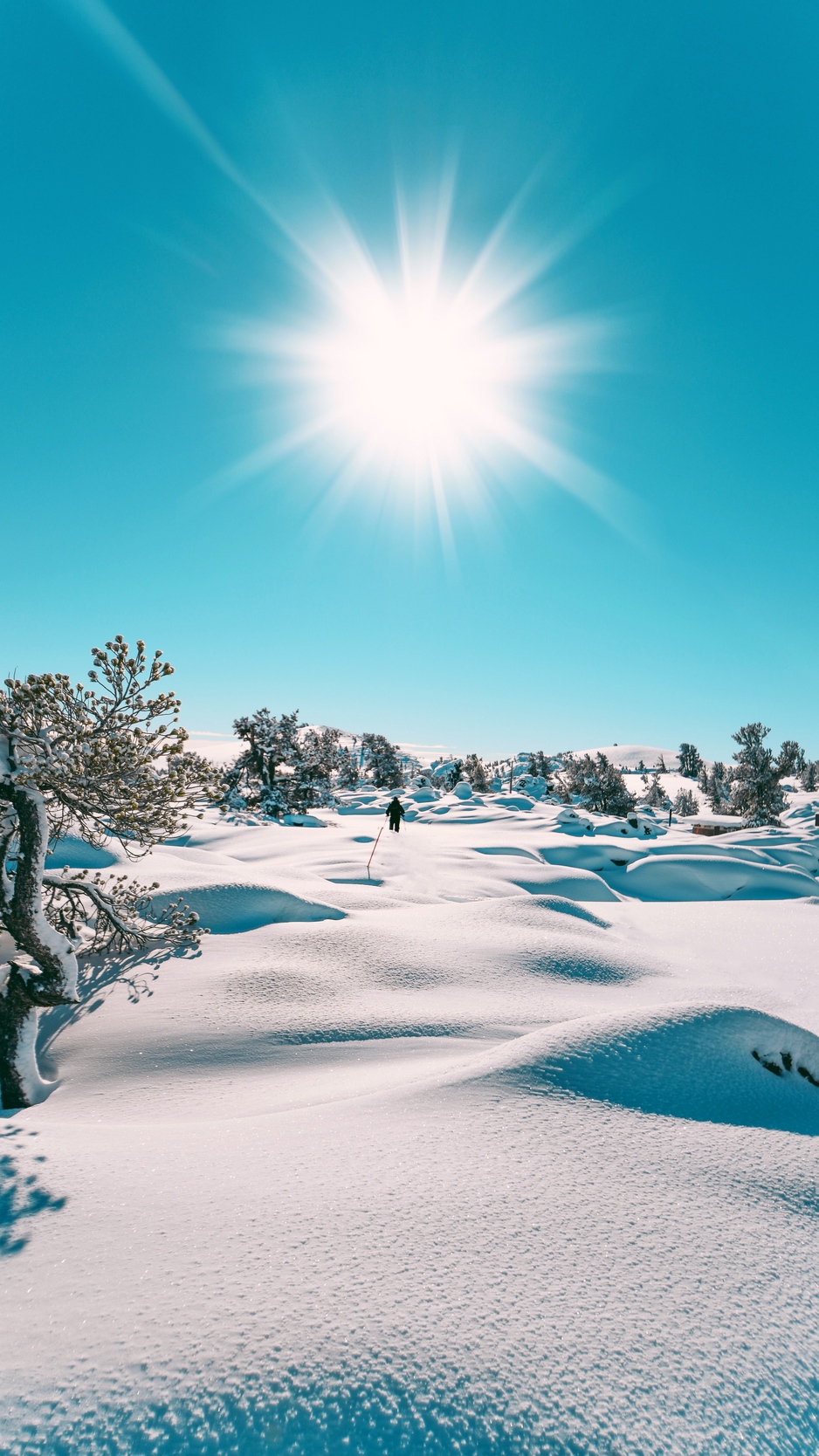 Wallpaper Snow, Sun, Landscape, Winter - 2020 Wallpaper 4k Iphone - HD Wallpaper 