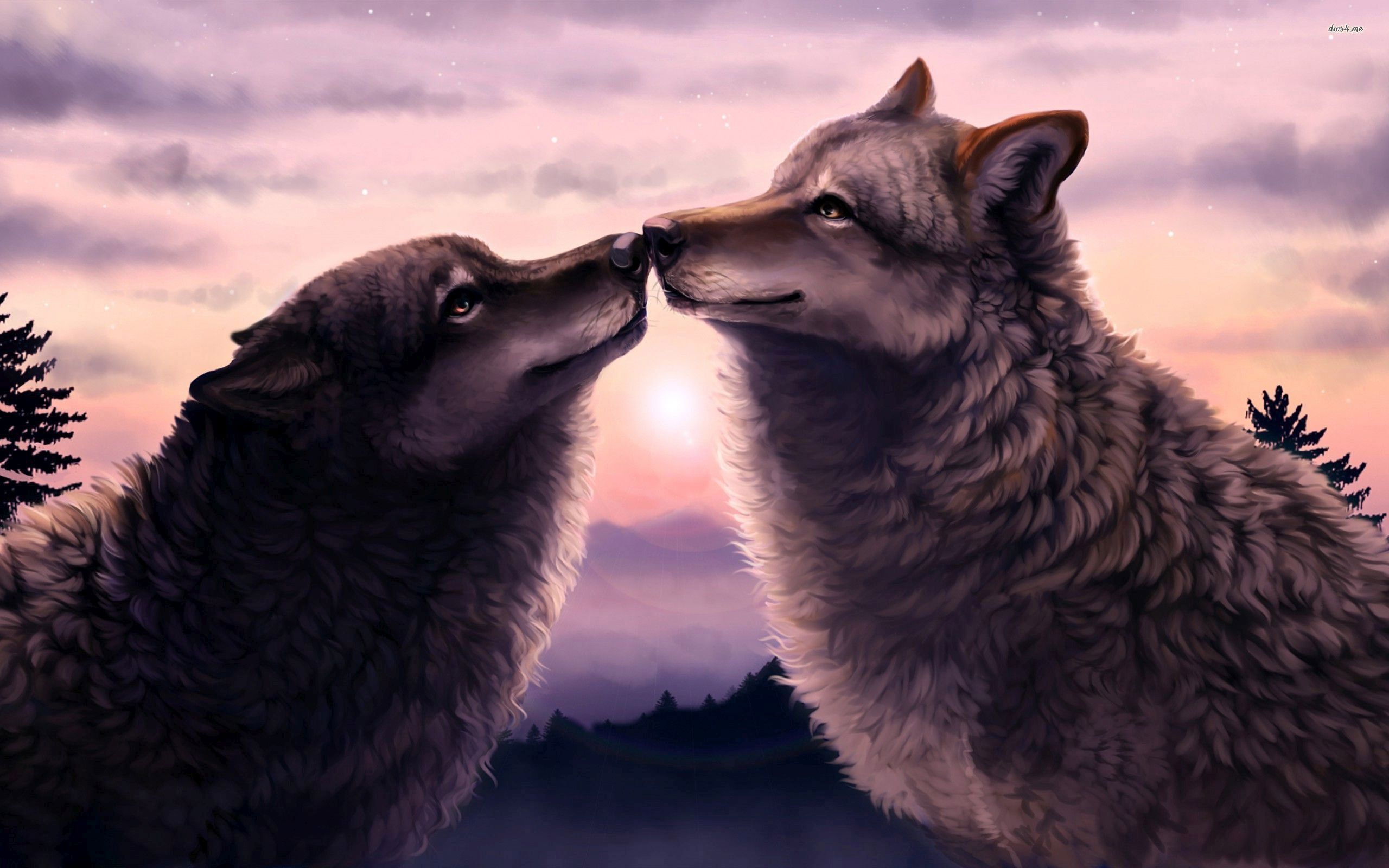 Wolves Love - Wolf Love Hd - HD Wallpaper 