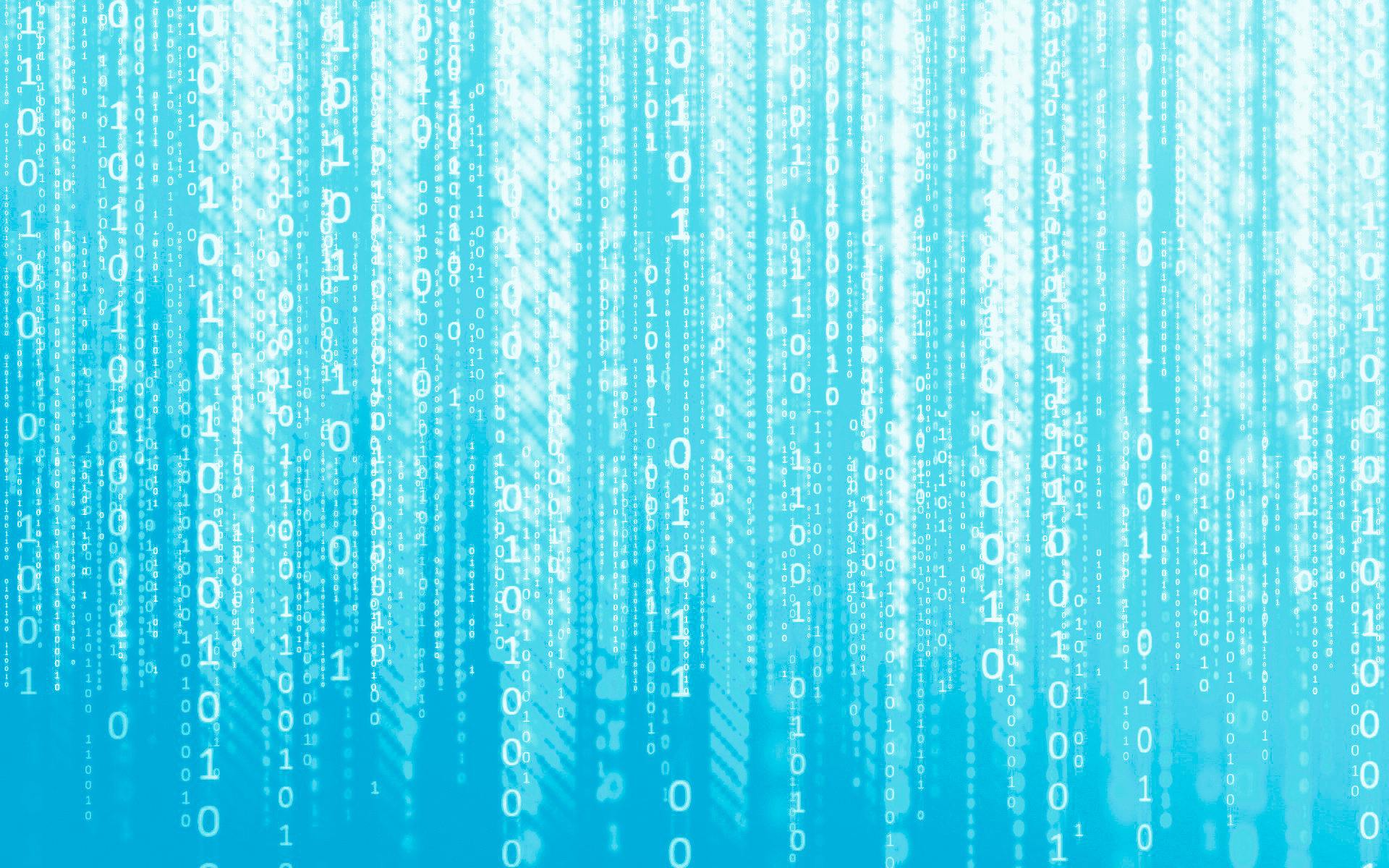 Wallpaper - HD Wallpaper 