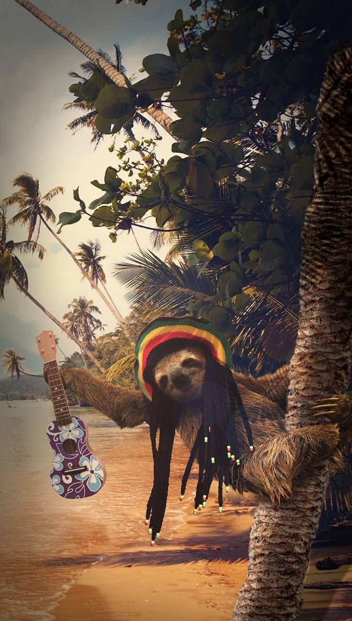 Rasta Sloth - HD Wallpaper 