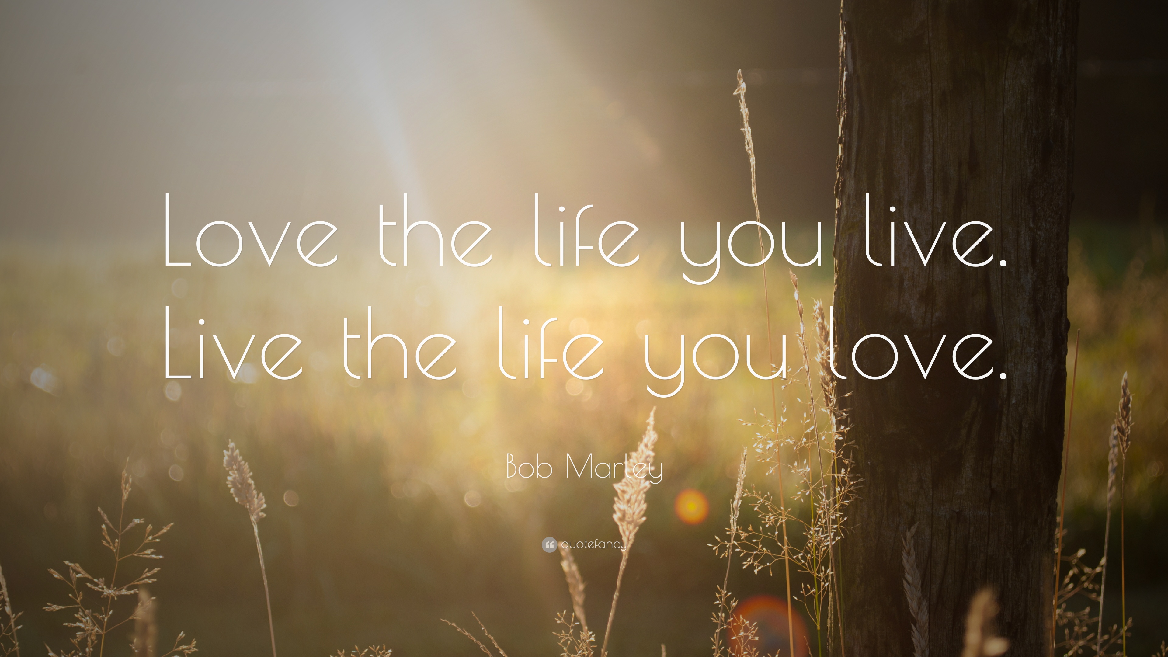 Bob Marley Quote 3840x2160 Wallpaper Teahub Io