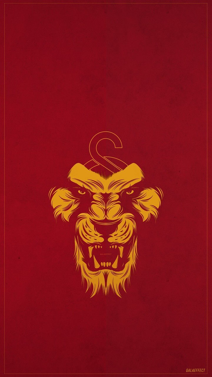 Galatasaray, Wallpaper, And Cimbom Image - Bir Gün Değil Hergün Galatasaray - HD Wallpaper 