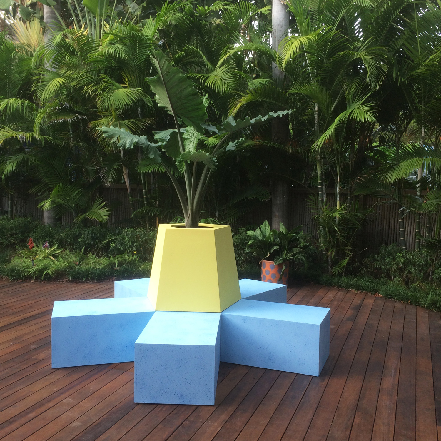 Casa Dots In Miami - Sabal Palmetto - HD Wallpaper 