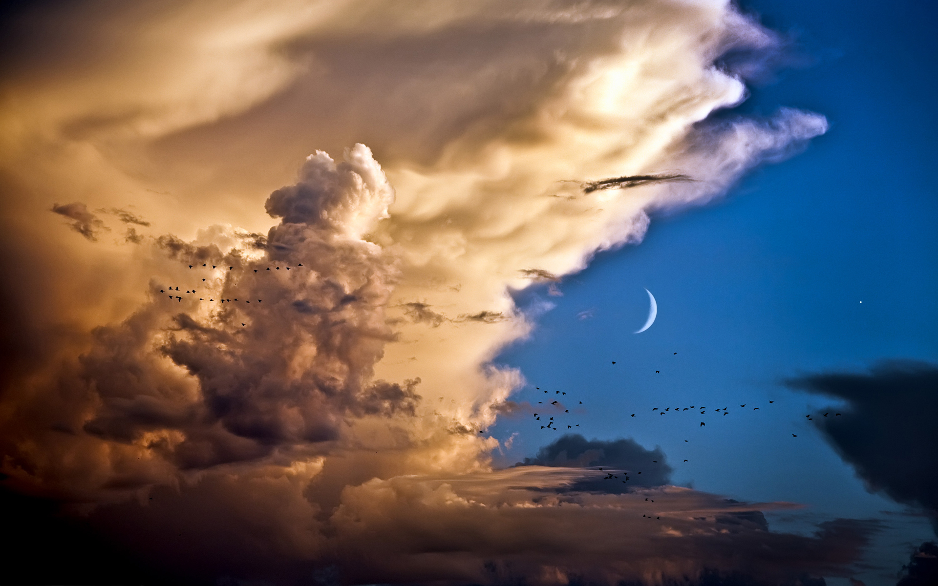 Clouds Birds Moon Venus - HD Wallpaper 