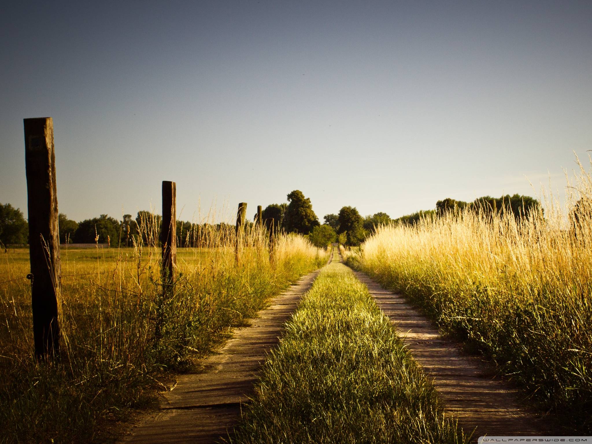 Late Summer Facebook Cover - HD Wallpaper 