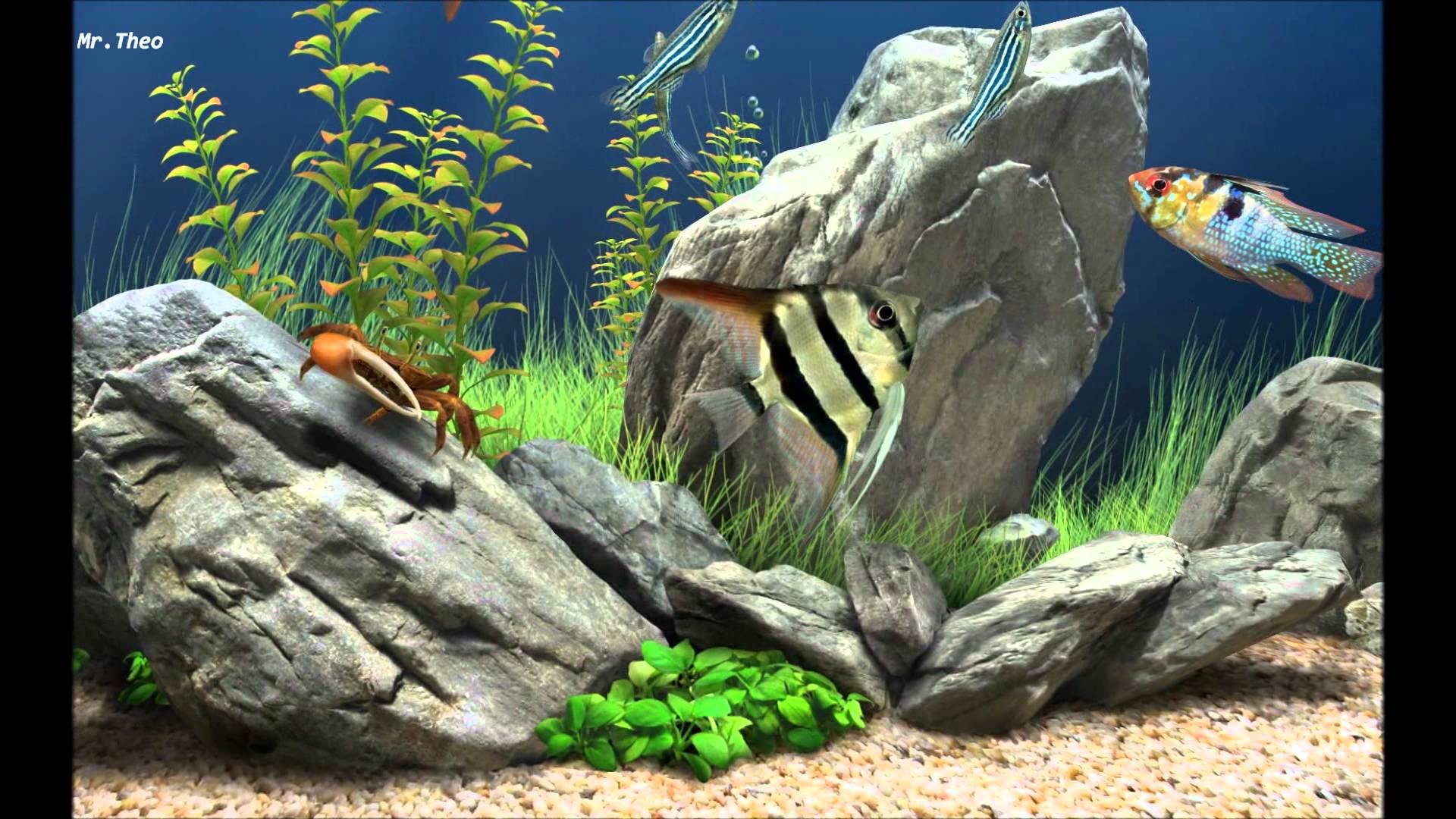 Data Src Large 3d Fish Tank Wallpaper Macbook - Dream Aquarium Screensaver - HD Wallpaper 