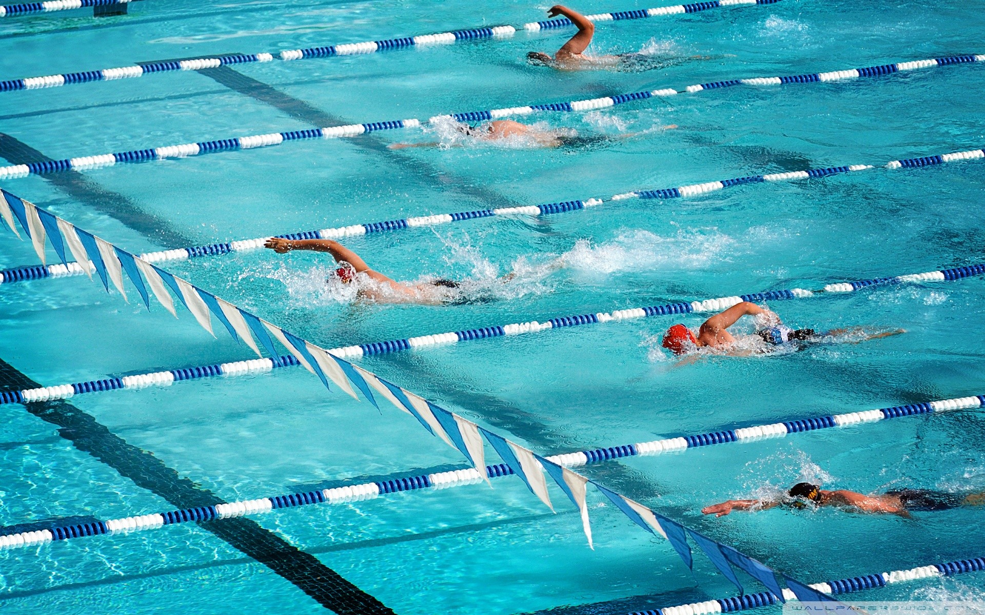 Olympic Swimming Pool Wallpaper,swimming Hd Wallpaper - Swimming Wallpaper Iphone - HD Wallpaper 