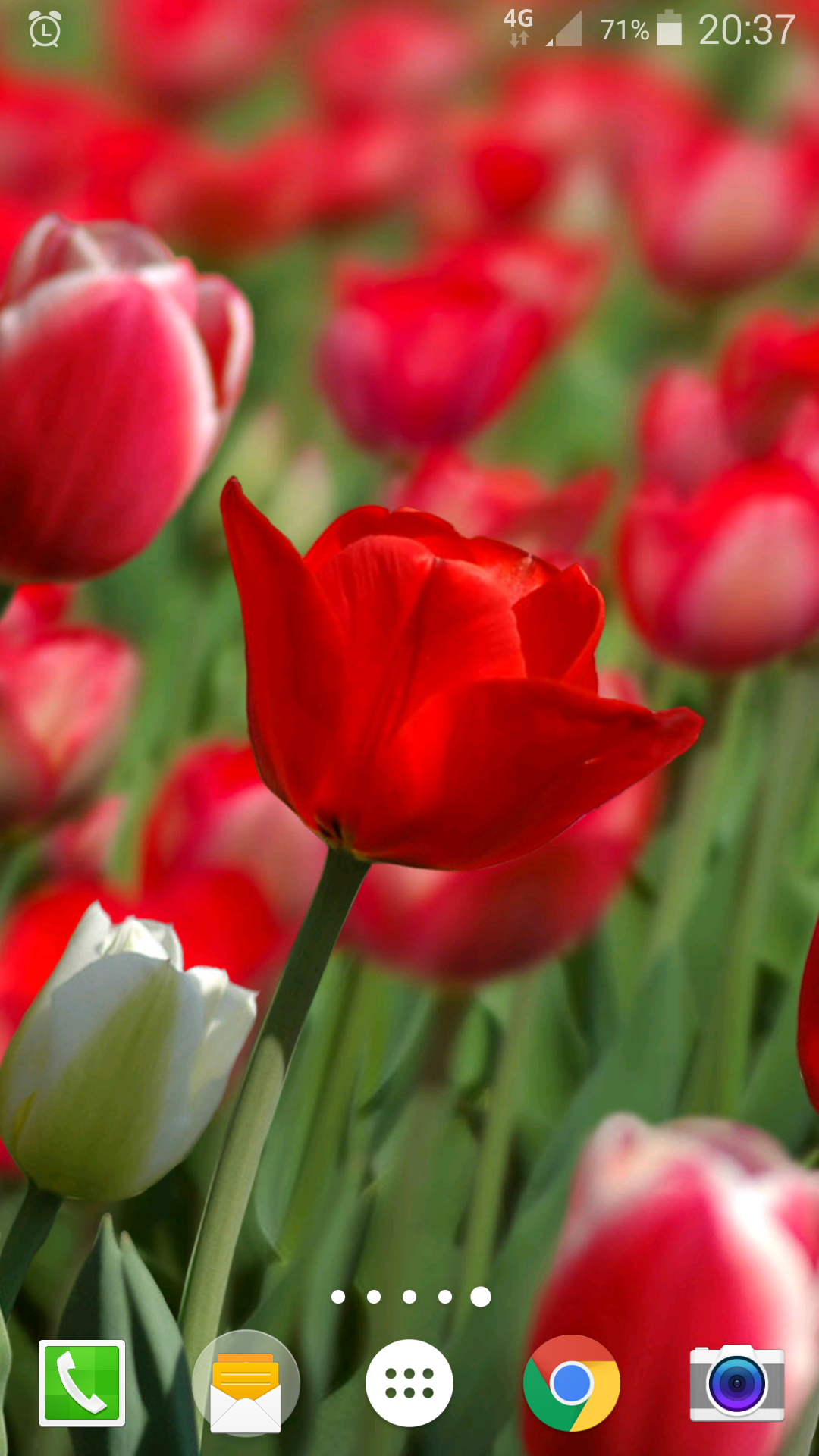 Android Application Package - HD Wallpaper 