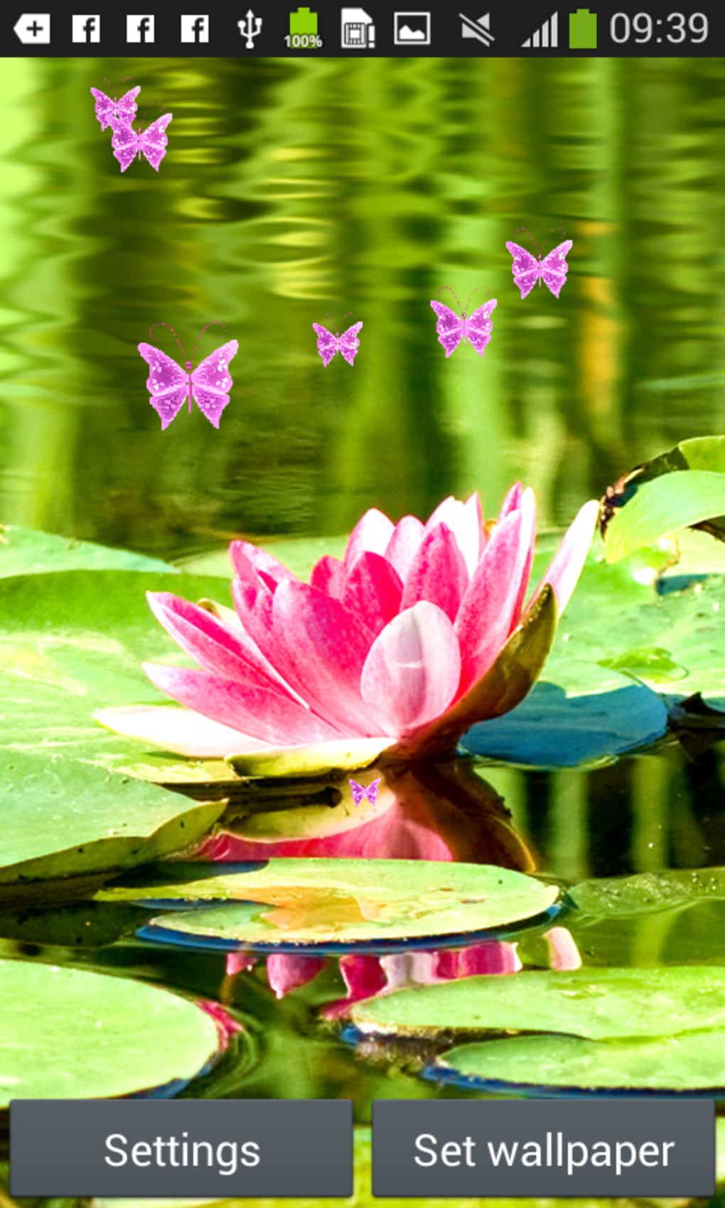 Lotus Live Wallpaper - Wallpaper - HD Wallpaper 